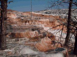 doigshse-yellowstone 053.png